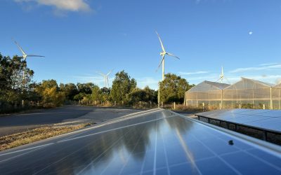 bui-van-thinh-2-1538