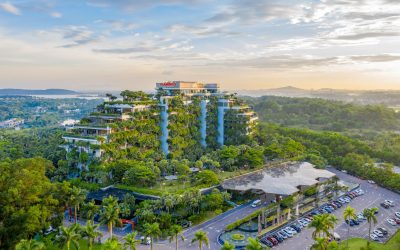 Flamingo-Forest-in-the-Sky